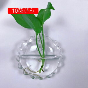 Ԃт Ɏq _ NA Ǌ|ԕr  ǂ hCt[ k͔|  CeA t[x[X KXx[X ǖ 킢 01Ԃт Ǌ| A AW ԕr 