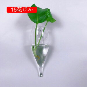 Ԃт Ɏq _ NA Ǌ|ԕr  ǂ hCt[ k͔|  CeA t[x[X KXx[X ǖ 킢 01Ԃт Ǌ| A AW ԕr 