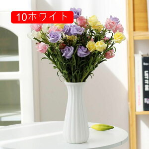 t[x[X Ԋ Z~bNԕr k  i  ԕr Vv ֑} CeA aԕr v[g Mtg fXNgbvԕr 10zCg zCg Ԃт 