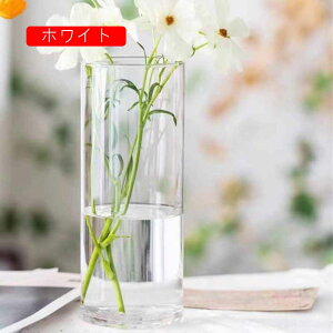 t[x[X KX O[ 9*23cm 傫 ~  hCt[ tFCN O[  } Vv ԕr Ԋ  NA Xg[g V_[ CeA G Vz v