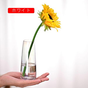 15cm KX 01Ԃт t[x[X ԕr  Ԋ ֑} Ƃ̑ Vv   Ԃт _ CeA rO Q  j 4*15cm oYj