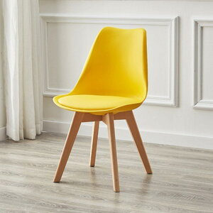 `FA NbVt _CjO`FA VR؋r ֎q  gȒP k  `FA i` Vv _ ɂ H֎q rO`FA 킢 Be[W _C