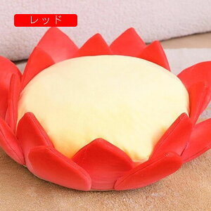 @̉ zc u[ ґzpNbV T ⥃pbh o oRj[  a   CeA ӂӂ KɗD  ᔽ 80*23cm  ʃNbV