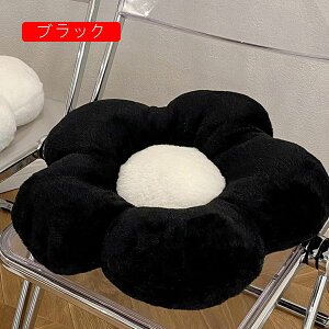 ԕ zc V[gNbV ӂӂ Sn _炩  ̈U ^ 킢 INS rO  ItBX iX oRj[  a48cm lGʗp ubN