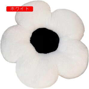 ԕ zc V[gNbV ӂӂ Sn _炩  ̈U ^ 킢 INS rO  ItBX iX oRj[  a48cm lGʗp ubN