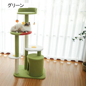 Lbg^[ u L^[   萫 ȃXy[X qL ^L  L VRR ܂Ƃ|[ Vт̃|| ^s ӂӂ퐶n F ϋv 