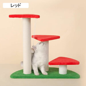 Lbg^[ lC ~j  L^[ u^ ߂Ƃ JV~A̕\ Ȃ L炵  ]|h~ 萫 ȃXy[X ܂Ƃ  RpNg nEX ߋt Vя