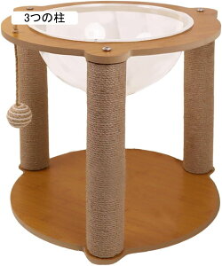 FJvZ Lpxbh Q  ؐ vCRh~jAnEX qLpxbh LpnbN TCY̔Lp qLp ybgANZT[ 3̒