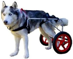 調節可能な犬用車椅子、ペット用ベビーカー、後ろ足が弱い障害のある犬のリハビリテーショントレーニング、柔らかいストラップ、組み立て簡単、(L、XL)