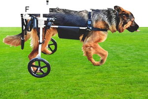 犬用車椅子 中型/大型犬用車椅子 後ろ足用 通気性 快適 動物運動 ペットリハビリテーションカート 麻痺後肢犬脚ブレース (サイズ : XXL サイズ)
