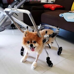 犬用車椅子 ペットリハビリテーション車椅子カート 小型ペットの移動回復を補助 ハンドル付き犬用車椅子 後ろ足/前足用犬脚ブレース (サイズ : ワイド XS サイズ)