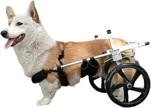 2輪ペット用車椅子 アルミ製犬用カート 調節可能な動物用エクササイズホイール 組み立て簡単 後ろ足用犬用車椅子