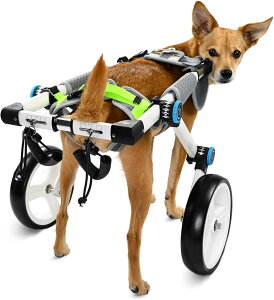 pԂ ̋rhbOn[lXԈ֎qA 2։KȌ̃nre[VJ[gA /bh/[WhbOybgEH[J[Jo[x (Size : M Size)