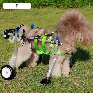 pԂ tgzC[ƃobNzC[L̎Ԉ֎qA x傫Ȍp4֌̎Ԉ֎qA Kȃybgu[Xnre[VJ[g (Size : Size L Widen)