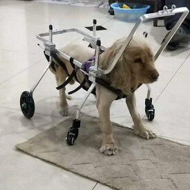 犬用トレッドミル ベストフレンド?犬用車椅子 調節可能 4輪 ステンレススチール カート ペット/猫用犬用車椅子 後肢リハビリ 障害犬用 ペット用車椅子 トレーニング 行動補助 (S)