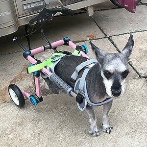 pԂ sN̏ȌԈ֎qA Q̂㎈/Ňp̃A~jEt[ybgnre[VJ[gA 2̃zC[teBOGCY̋r̃u[X (Size : XXXS 