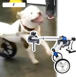 pԈ֎q ^/^pԈ֎qAy 2փA~J[g tg⏕AL//qp߉\ybgnrJ[g (TCY: S TCY)