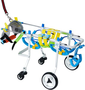 4̊ۂ̎Ԉ֎qA߉\ȃybg̎Ԉ֎qA둫̃nre[VGChAybgJ[g̃nre[VEH[LOGChGNTTCYoCN (Size : XS(widening))