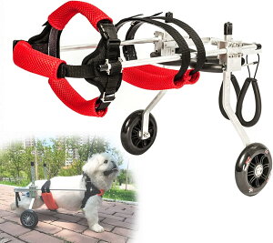 pԈ֎qA߉\ȓփybgpԈ֎qAg̏Qҗpr⏕A^pԗ֕⏕AqLюqpybgJ[gs⏕ (Color : Red Size : XS(Verbreiterung))