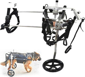 pJ[g/Ԉ֎qAybgpԈ֎qA^pApԈ֎qQҗprnr-2