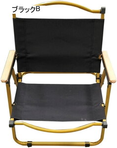 AEghA`FA ܂肽 Lv֎q [`FA ω׏d100kg RpNg CX y gѕ֗ nCLO ނ oR o[xL[ [obOt