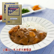 敬老の日ギフト 敬老の日 プチギフト 究極の函館カレー2個入 レトルトカレー 高級 ポーク ネコポス便 レ…