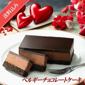 五島軒 公式 ベルギーチョコレートケーキ 函館 五島軒 ギフト ベルギーチョコレート 冷凍 スイーツ 母の日 御歳暮 ホワイトデー 母の日