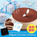 五島軒 公式 ベルギーチョコレートティラミス ケーキ 濃厚 函館 北海道産 ベルギー ホワイトデー お返し スフレ 牛乳 …