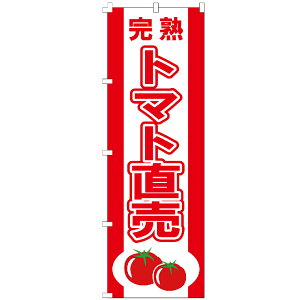 ySꗥ400~z ̂ڂ ng}g ̂ڂ 
