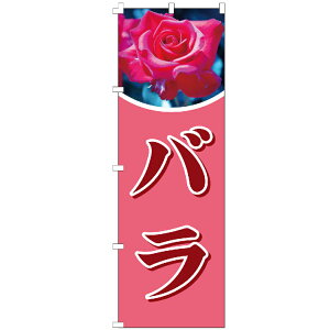 ̂ڂ o J[l[V  t[  ԑ Ԓd  ̂ڂ