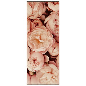 ySꗥzyJapan madez  ʂ sN t[ ԕyT-026z VNN  킢 @ aĂʂ Ǌ| aG ^yXg[ {