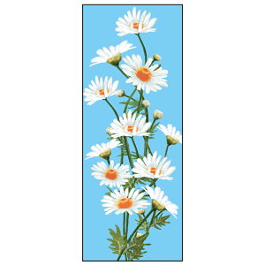 ySꗥzyJapan madez lG GĂʂ }[KbgByT-029z ʂ @ aĂʂ Ǌ| aG  ^yXg[ {