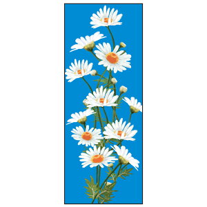 ySꗥzyJapan madez lG GĂʂ }[KbgCyT-030z ʂ @ aĂʂ Ǌ| aG  ^yXg[ {