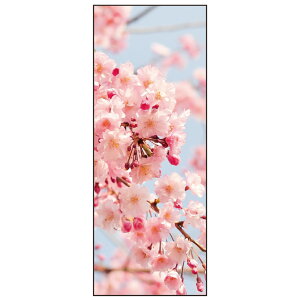 ySꗥzyJapan madez  ʂ {̎lG yT-050z  Ԍ t Cherry blossom 킢 @ aĂʂ Ǌ| aG ^yXg[ {