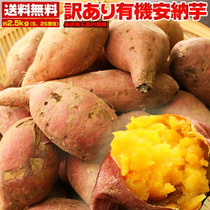 ܂ 󂠂 L@ [ 2.5kg  L@[ ƒp Tc}C Y 茧 ܓ  Ăp ̂ [ XC[g|eg  