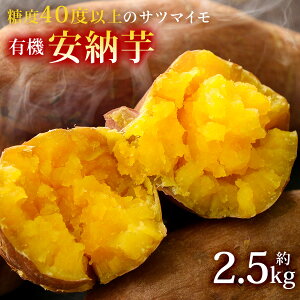 ܂  L@ [ 2.5kg S 2S TCY 茧 ܓ Y Tc}C   ̂  Ï Ă ͔| Y  y