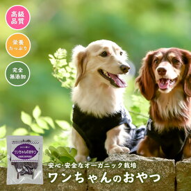ドッグフード 送料無料 無添加 ワンちゃん おやつ 紫芋 10袋 セット お試し メール便 ポイント消化 ペットフード 犬 国産 干し芋 干しいも ほしいも さつまいも ギフト　硬め