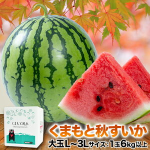 H F{  XCJ   󂠂 W{XCJ  F{Y 6kgȏ {  ʕ  Lv ƒp Ɨp t[c ʕ Â sz\ɋLڂ̓ł͂t