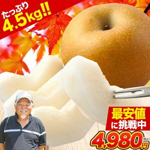 y{̑蕨zF{Y Â ՂTCY 4.5kg (13`22)  a  HMtg p iɍœK  Ȃ _ iV H Â t[c s9{-9