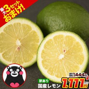 Y  󂠂 1.5kg  yő4.5kg܂ʁzF{Y X{ Og TCYsI t[c EG  s[  T[ ɂIXX s1-