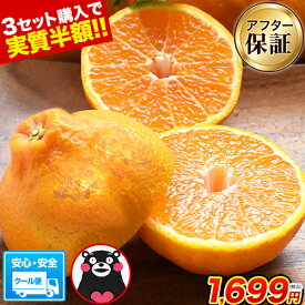 訳あり デコみかん 送料無料 1.5kg 不知火 みかん ミカン 熊本県産 デコポン と同品種 熊本 柑橘 美味しい みかん 産地直送 くまもと風土 箱 でこ 《7-14営業日以内に出荷予定(土日祝日除く)》