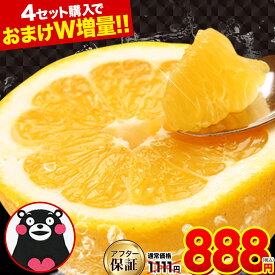 ＼大豊作SALE★888円／訳あり 河内晩柑 1.5kg 熊本県産 晩柑 和製 グレープフルーツ セット購入でおまけ増量 送料無料 フルーツ 果物 みかん 4.5kg 7.5kg 夏文旦 ジューシー みかん お買い物マラソン 買い回り 《1－5営業日以内発送予定》