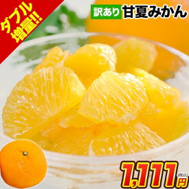 甘夏 みかん 訳あり 1.5kg 送料無料 熊本県産 名産地 旬のみかん 柑橘 果物 フルーツ 旬 mikann ※皮むき器プレゼント中《1-5営業日以内に出荷(土日祝除く)》