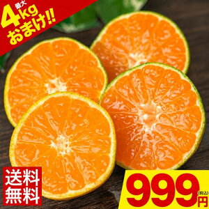 �y2�Z�b�g�ȏ���T���ő�4kg�������܂��z ��B�Y ���� �݂��� �������� �󂠂� �~�J�� �܂Ƃ߂Ĕ����قǂ��� ���� 1kg�ʕ� ���� ���k ��A�� ���� �� �Â� �y5kg�ȉ�(5�L��) �ƒ�p �T�C�Y ����