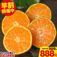 早割価格 【2セット購入特典★1kg無料おまけ】 小玉 みかん 送料無料 訳あり ミカン まとめて買うほどお…