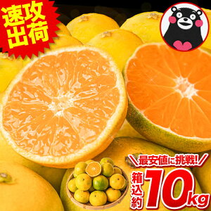 ݂  10kg  󂠂  F{~J   sI KiO ʕ k B A   10kg 10L ȉ ݂ }\ s3-7cƓȓɔ\(yj)t