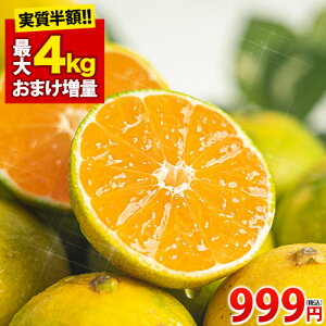 【今なら速攻出荷!】 みかん 訳あり 送料無料 1kg ご当地 熊本 九州 ミカン 大玉 小玉 不選別 規格外 果物 柑橘 訳アリ 蜜柑 箱 3kg 5kg 8kg 10kg 以下 10キロ 以下 みかん箱 お買い物マラソン 《1-5