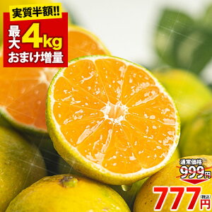 y10SALE999~777~zyȂ瑬UoׁIz ݂ 󂠂  1kg n F{ B ~J   sI KiO ʕ k A   3kg 5kg 8kg 10kg ȉ 10L ȉ 