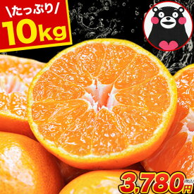 【エントリーでP10 倍！】 みかん 約 10kg 箱込 訳あり 送料無料 熊本ミカン 大玉 小玉 不選別 規格外 果物 柑橘 九州 訳アリ 蜜柑 箱 10kg 10キロ 以下 みかん箱 お買い物マラソン 《3-7営業日以内に発送予定(土日祝除く)》|