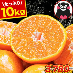 yGg[P10 {Iz ݂  10kg  󂠂  F{~J   sI KiO ʕ k B A   10kg 10L ȉ ݂ }\ s7-14cƓ